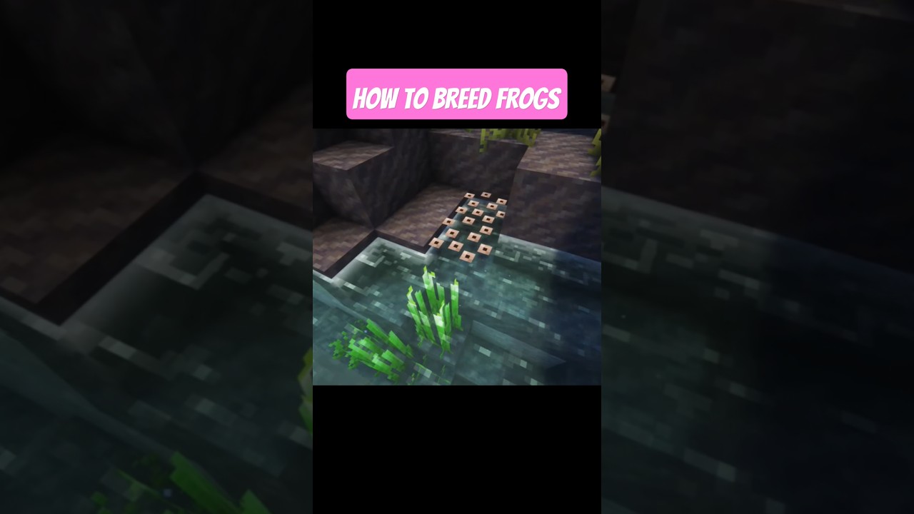 How to BREED FROGS 