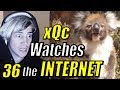 xQc Reacts to "Daily Dose of Internet" with Chat | GO AGANE! | Episode 36