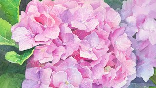 Hydrangea 🌸 Advanced Watercolor 🌸 SKILLSHARE CLASS TRAILER