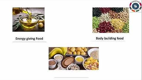 Class.4 : SCIENCE : Food and Digestion : Part.3