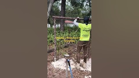 Making a fence from tree branches #diy #fencing #treehouse #treework #woodenfence #fencedesign