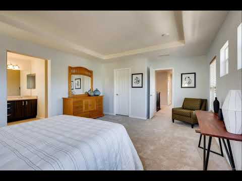 4004 Blue Pine Circle, Highlands Ranch, CO home video tour