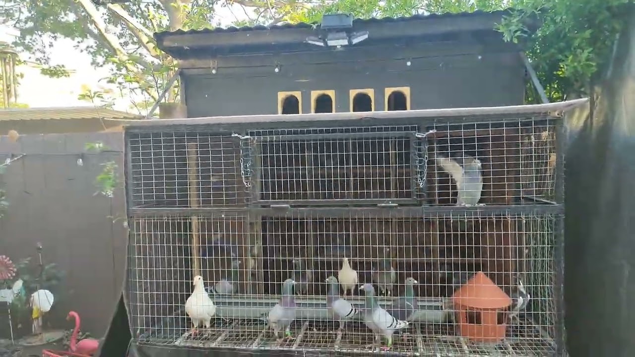 Updates sa loft natin