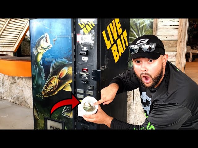 BUYING LIVE FISH BAIT FROM A VENDING MACHINE! 