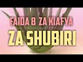 FAIDA 8 ZA KIAFYA ZA ALOE SHUBIRI