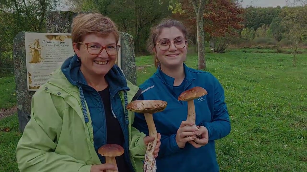 La Maison de la Forêt au Gâvre