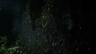 DSC 0099