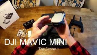 Basic DJI MAVIC MINI Fly More Combo - Tutorial/Review