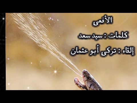 الأفعى