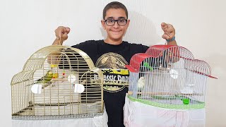 Kuş Paşaya Yeni̇ Arkadaş Geldi̇