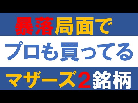 暴落局面でプロの機関投資家も買っているマザーズ２銘柄とは？