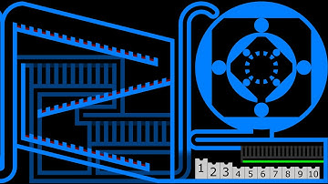 The Team Marble Race 5 in Algodoo