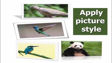How to Apply picture style to all Image in Microsoft Word 2017