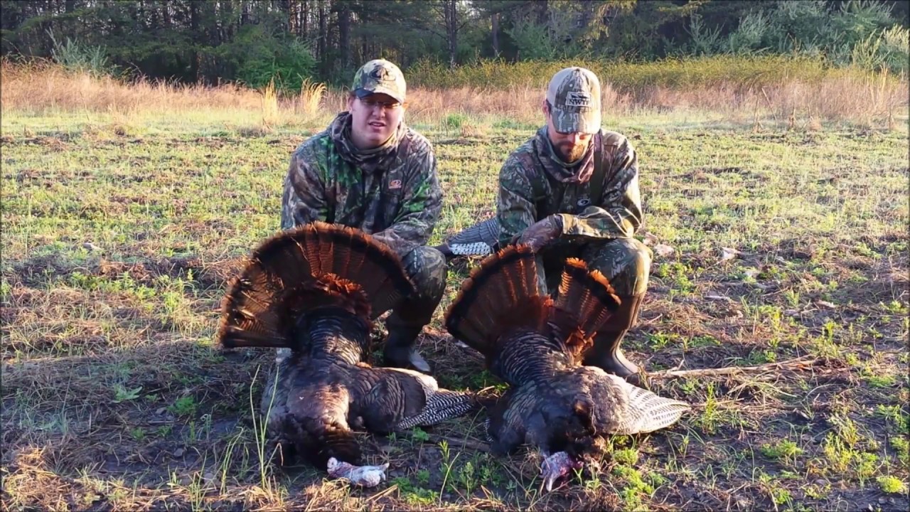 Kentucky Turkey Hunting -Public Land - The Bluegrass Obsession 