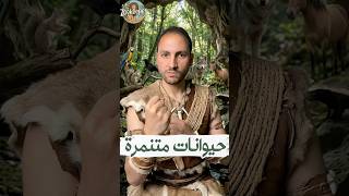 تعمل ايه لو حد تنمر عليك؟