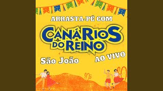 Video thumbnail of "Canários do Reino - Crina Negra (Ao Vivo)"