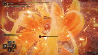 Trying To Use The Newly Buffed Scarlet Aeonia In Elden Ring Pvp