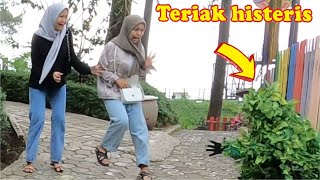 Manusia pohon ini bikin teriak histeris semua orang || Bushman prank