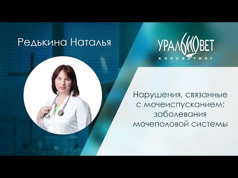 Нарушения, связанные с мочеиспусканием: заболевания мочеполовой системы. Н.Редькина #убвк_нефрология