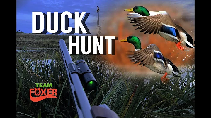 Early Morning Duck Flight inland pond