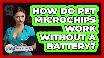 How Do Pet Microchips Work Without A Battery? - Ask A Pet Vet
