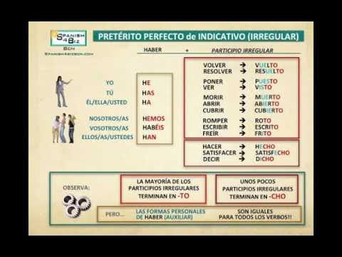 Preterito imperfecto в испанском языке. Preterito perfecto de indicativo неправильные глаголы. претерито перфекто. Preterito perfecto indicativo. Preterito perfecto indicativo.