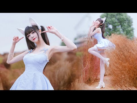 【4K】 【中国】 女子组合 Dance 【舞小喵】 奶fu fu的纯欲小白兔～♛Bunny【未南】_  (dance cover/踊ってみた/댄스 커버)