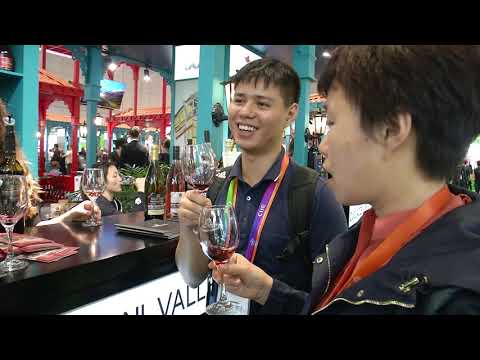 შანხაის საერთაშორისო იმპორტის გამოფენა