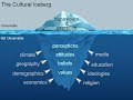 The Cultural Iceberg