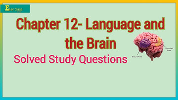 CHAPTER 12 Language & the brain by G. Yule (The Study of Language)