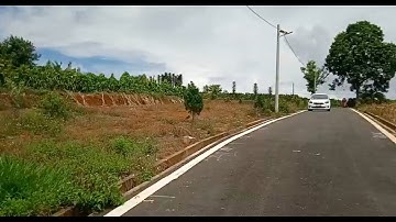 Đất thổ cư, đường nhựa gần Đôi Dép Lộc An, Quy hoạch vào Bảo Lộc, 598tr bao sang tên, gía chính xác