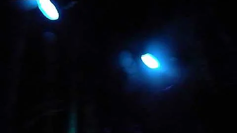 Doctor P - Village  , Shambhala 2011