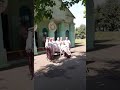 Ой да ішлі хлопцы з ярмаркі спявае гурт Хамеліха з в Кузьмічы Любанскага раёна Ой да ішлі хлопцы з ярмаркі спявае гурт Хамеліха з в Кузьмічы Любанскага раёна