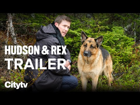 Hudson & Rex - Citytv  Watch Full TV Episodes Online & See TV