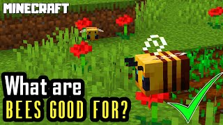 MINECRAFT | What Are Bees Good For?