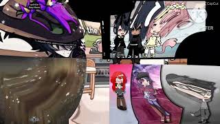 Preview 2 Funny PuppyDogsAndCuteCats Spart Pitch Test (2008's Version)