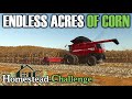 The Plan to make $1M on the Farm by Winter - FS25 Montana Homestead Farming ep 21