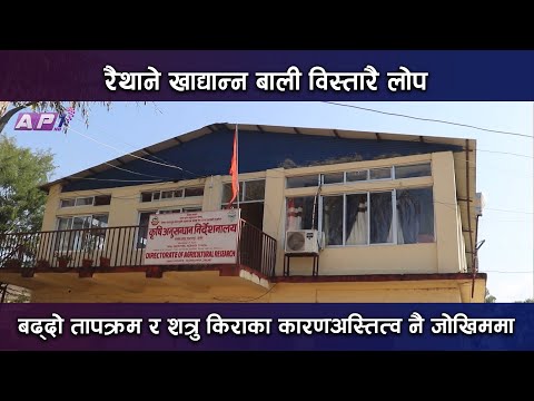 माटो सुहाउँदो र शत्रु किरा सहने बालीको | AP NEWS | AP1HD