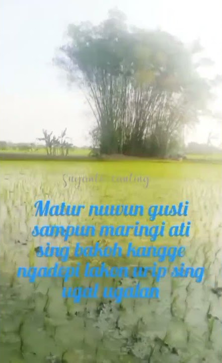 Story wa kesucian ati,ojo di padakno isun ambi wong liyo