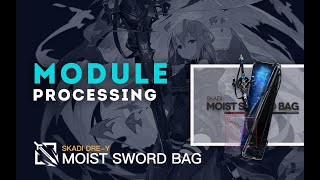 Skadi Dreadnought Module Showcase - Moist Sword Bag
