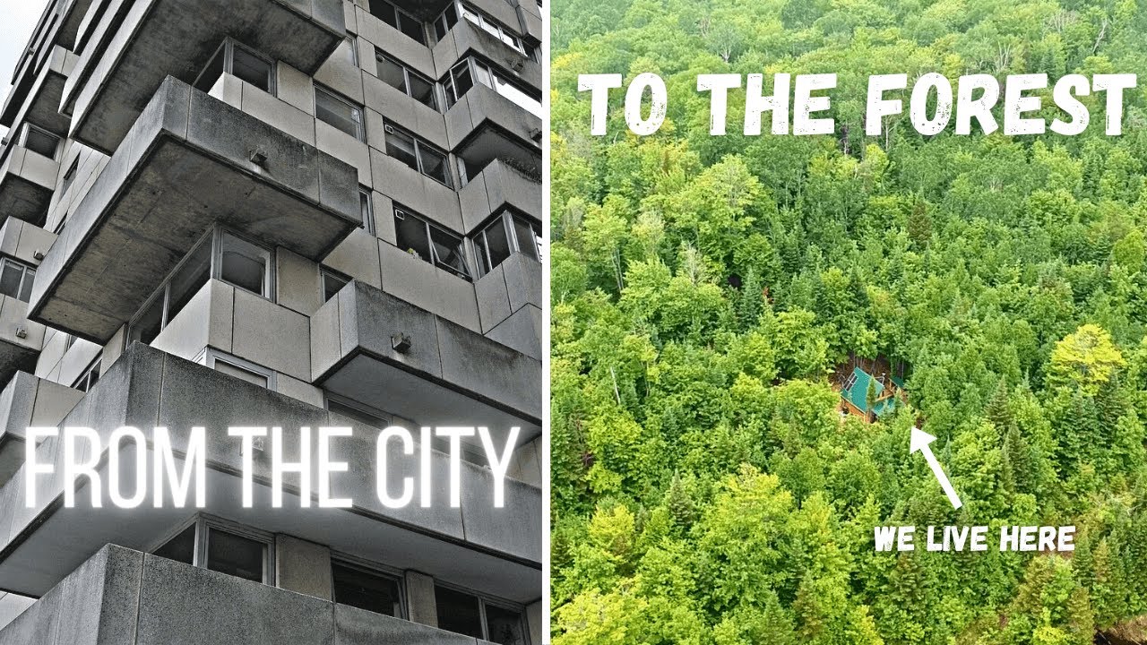 Couple leaves the city to move into a tiny log cabin in the middle of