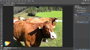 Photoshop CS6 Image Optimization Workshop Trailer