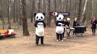 Панды на Весеннем Громе
