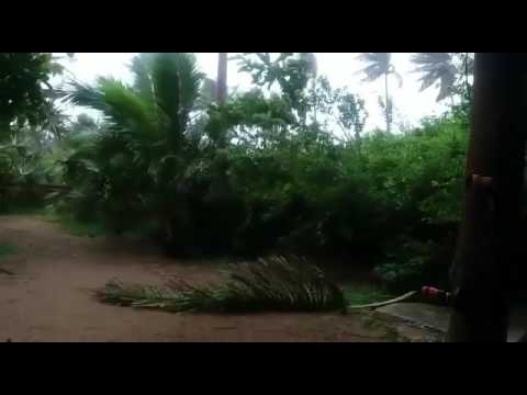 Tropical cyclone Dineo Mozambique Inhambane