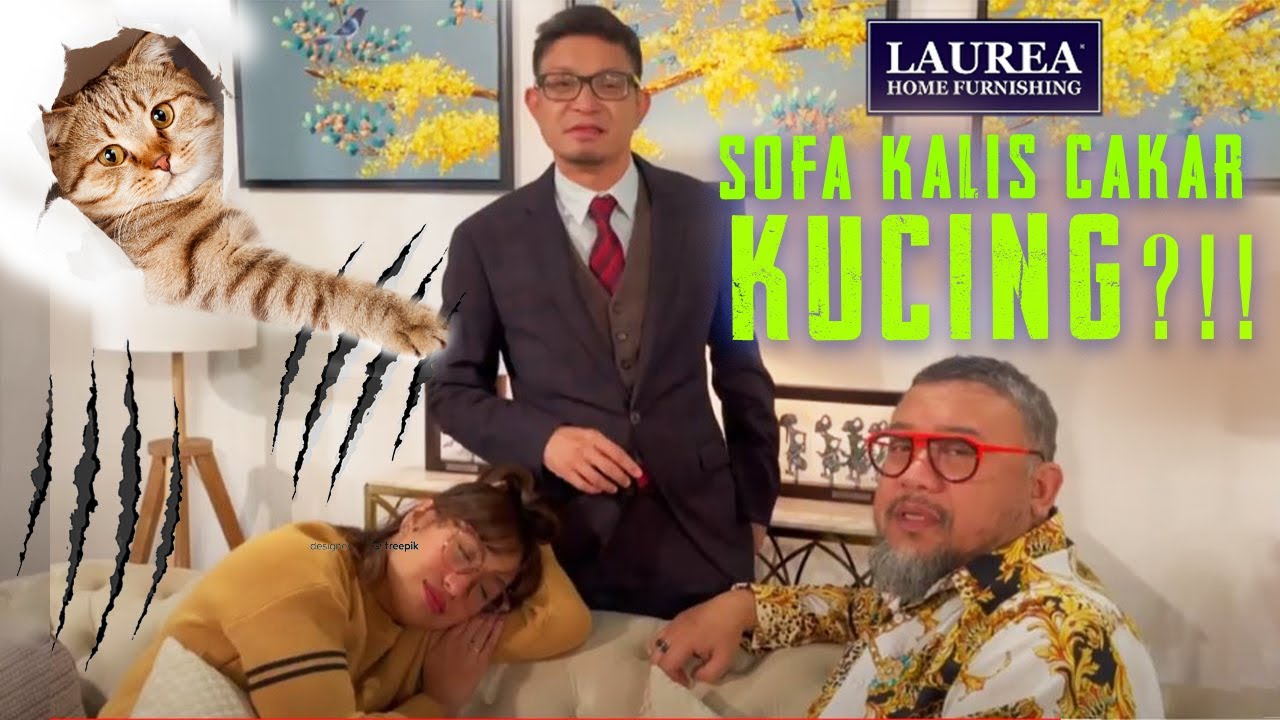 Sofa Kebal. Sofa Anti Cakar Kucing!! YouTube
