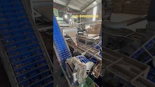 Cashew processing plant #machine #cashewprocessingmachine #cashew