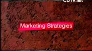Business Marketing Strategies Featuring Content Marketing For Dummies On Cdtv.net
