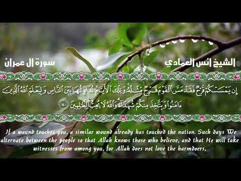 قراءة طيبة مباركة مما تيسر من سورة ال عمران للقارئ انس العمادي