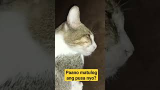 Paano Matulog ang Pusa Nyo | Weirdest Cat Sleeping Position