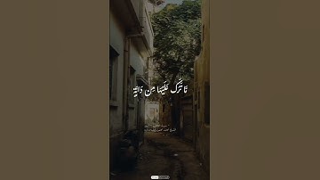 ولو يؤاخذ الله | أرح قلبك| القرآن الكريم| #القرآن_الكريم